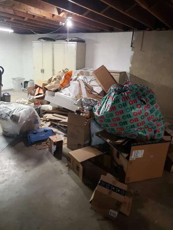 Junk Queen - photo 3