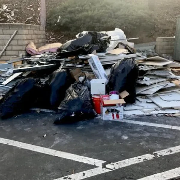 Junk Queen - photo 4