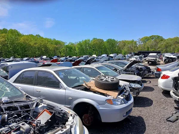 Virginia Car Buyers - photo 2