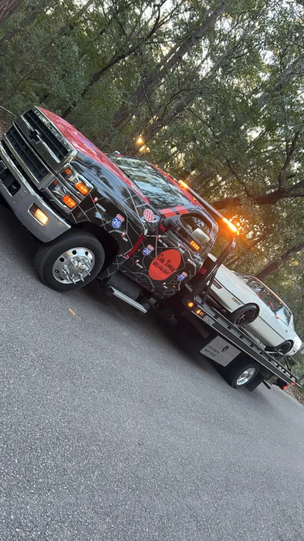 Cola Towing - photo 3