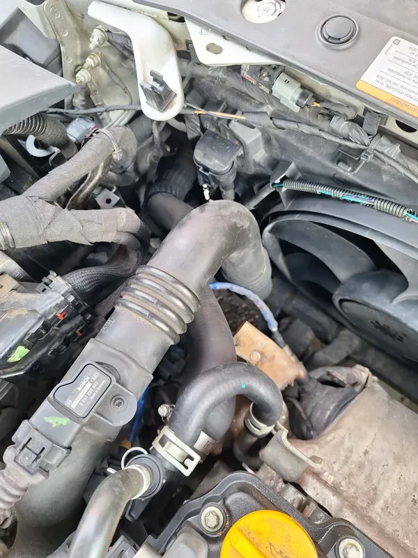KOI Auto Parts (Fisher Auto Parts) - photo 2