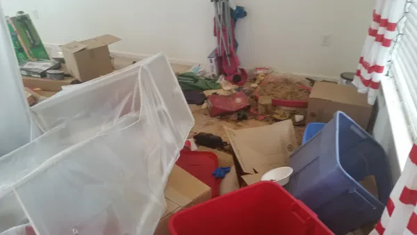 JunkBusters - Junk Removal Services - photo 2