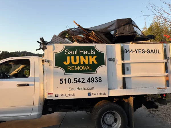 Saul Hauls Junk - photo 3