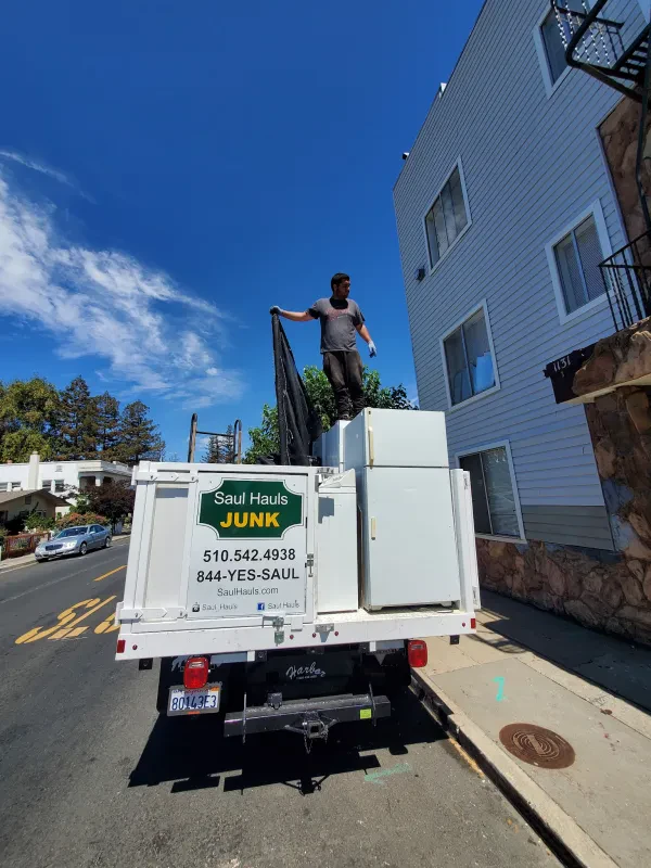 Saul Hauls Junk - photo 4
