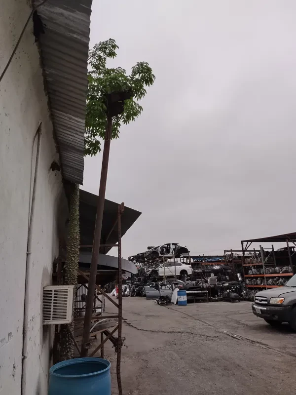 Ace Auto Wrecking - photo 4