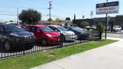 Cash For Cars