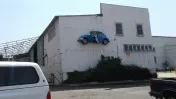 Gold Mine