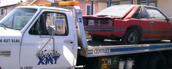 Xtreme Muscle Towing - photo 4