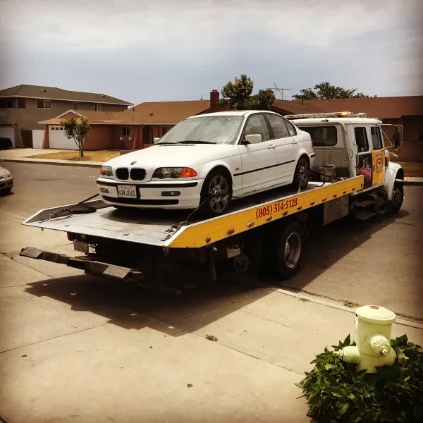 BANANA'S TOWING - photo 4