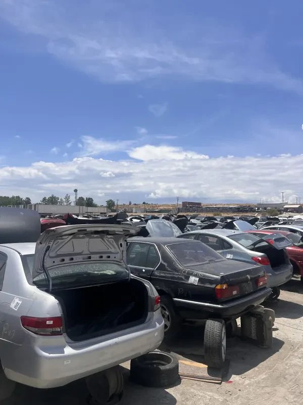 Pick Your Part - Victorville - photo 2