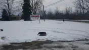 T & M Auto Salvage