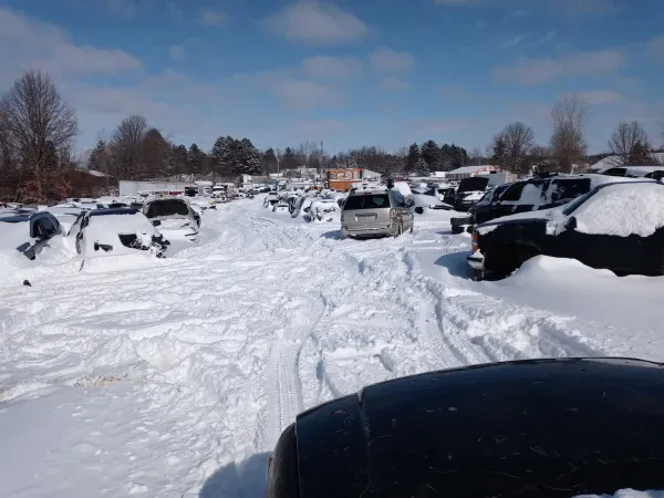 Cats Auto Salvage - photo 4