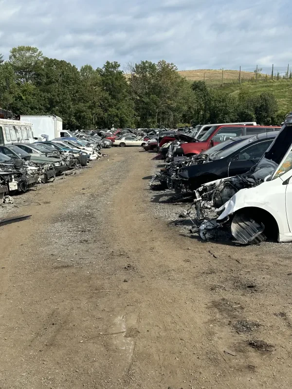 234 Pick Ur Parts - photo 2