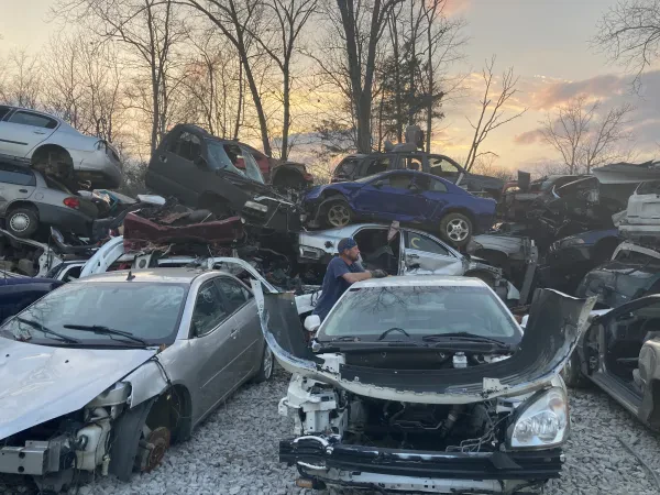 Jackson County Salvage - photo 3