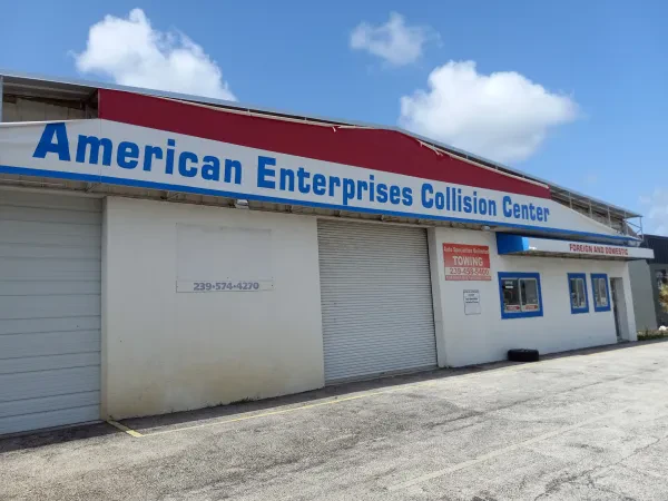 American Enterprise - photo 3