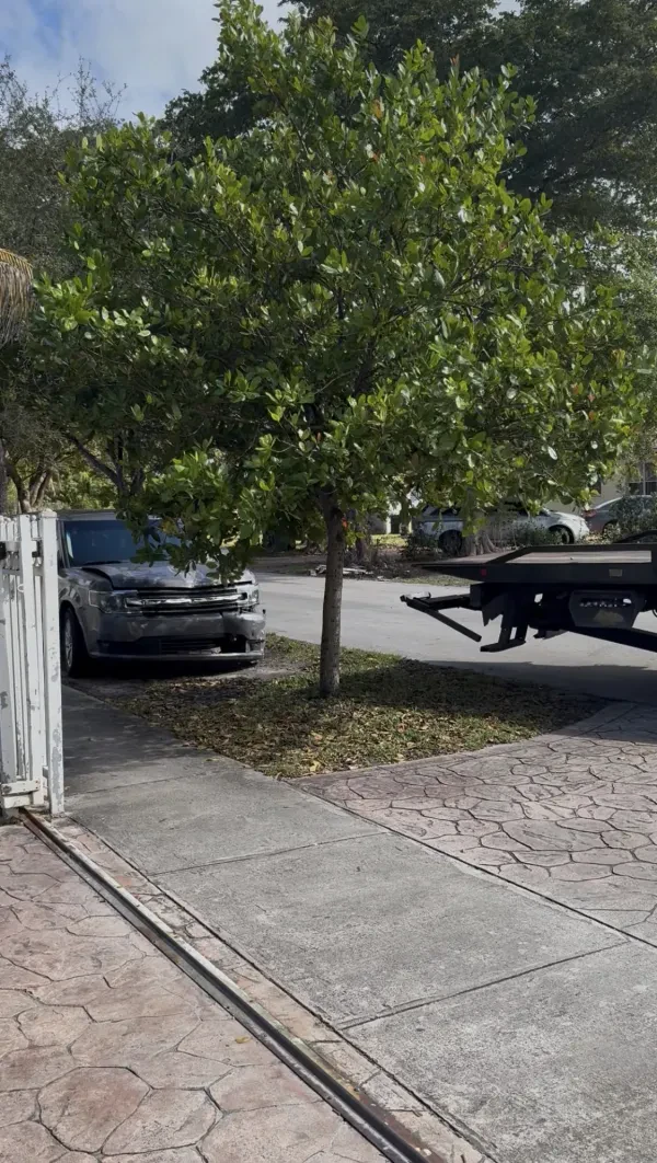 Junk Car Buyers Miami Auto Recycling - photo 2
