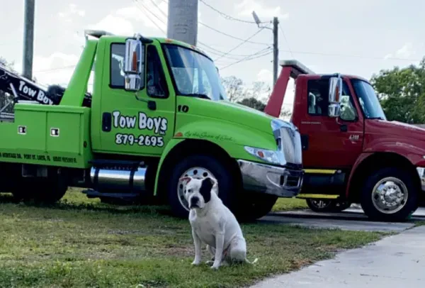 TOW BOYS INC - photo 2