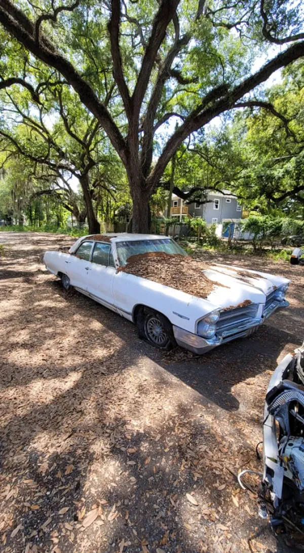 Cash for Junk Cars Tampa FL - photo 4