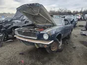 Crazy Ray's Auto Parts