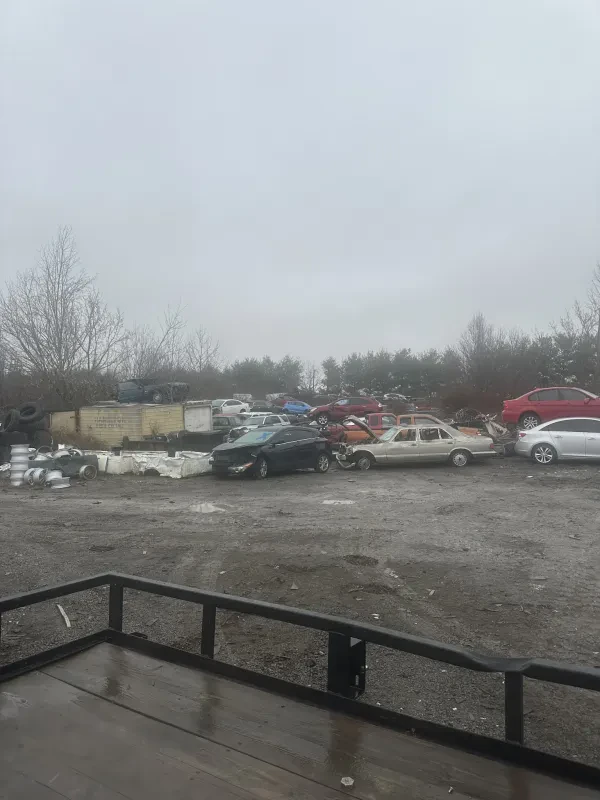 Witte Brothers Salvage Inc - photo 4
