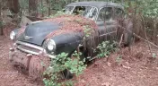 Junk Cars