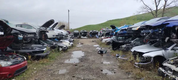 Al's Auto Salvage - photo 3