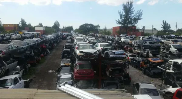 Ferny auto technical salvage - photo 2