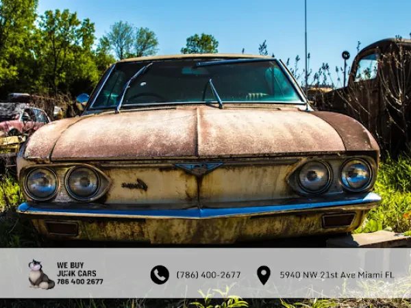 Junk Car Cat Miami - photo 4