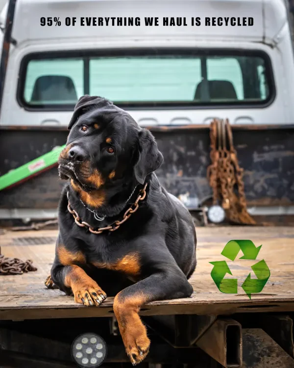 Pegasus Auto Recycling - photo 4