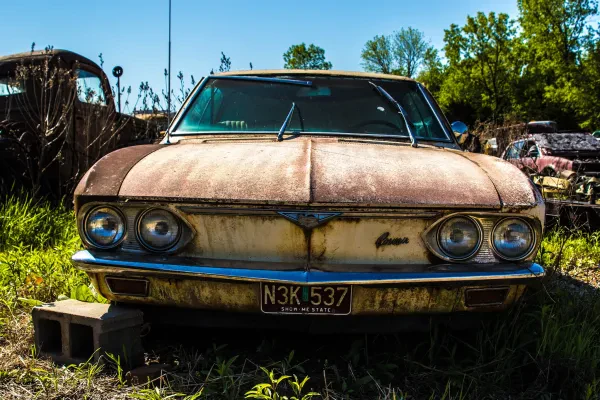 The Junk Car Family - photo 2