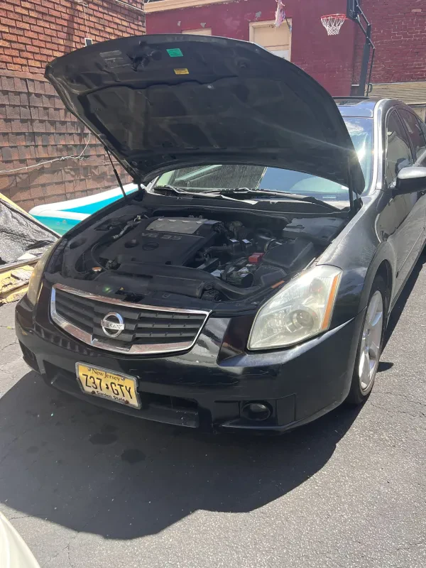 D'Aloia Used Auto Sales & Recycling - photo 2