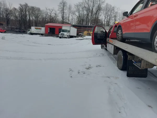 Lentini Auto Salvage of Port Murray - photo 4