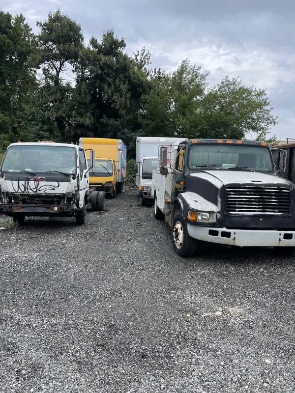 Thompson Towing LLC - photo 4