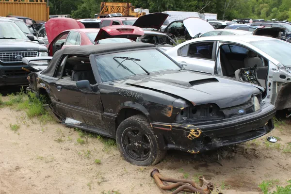 Jellison's Auto Parts - photo 3