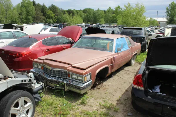 Jellison's Auto Parts - photo 4