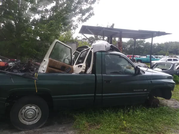 Auto Graveyard By Stein's - photo 3