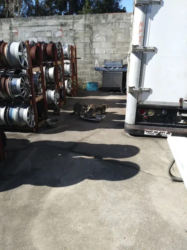 Florida Dial-A-Part Inc - photo 2