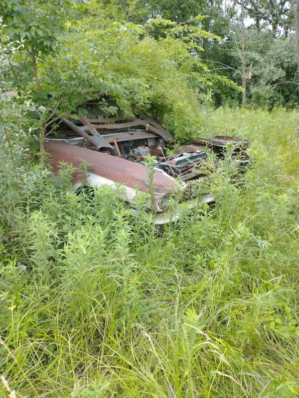 Eaton's auto salvage - photo 4