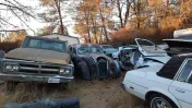 Bonanza Auto Dismantlers