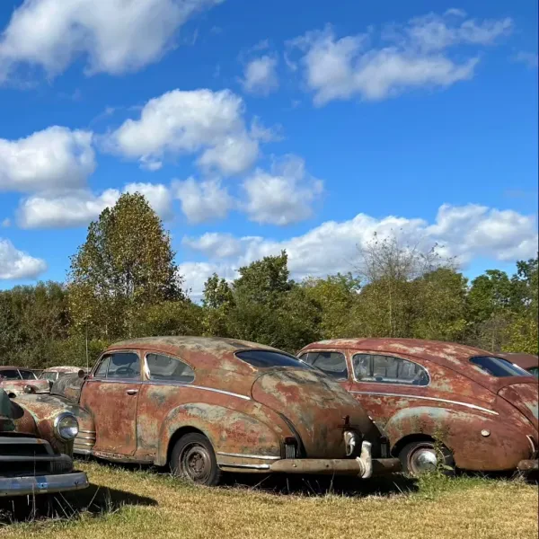 Lane Auto Salvage - photo 3
