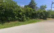 Blazczak Salvage, Inc.
