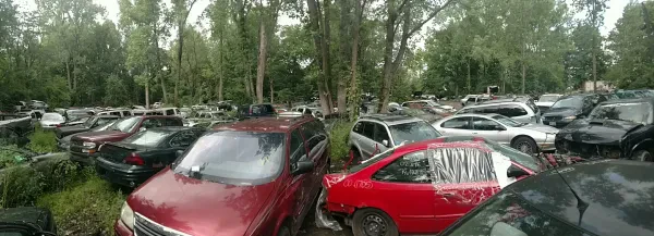Bill Johnson's Auto Wrecking - photo 3