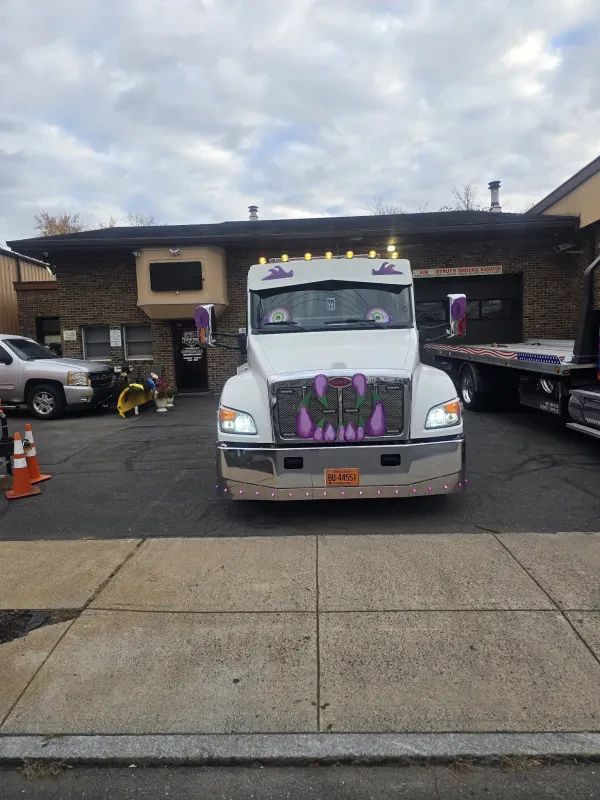 Alpha Auto Towing - photo 3