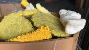 Brownsville Scrap Paper Inc
