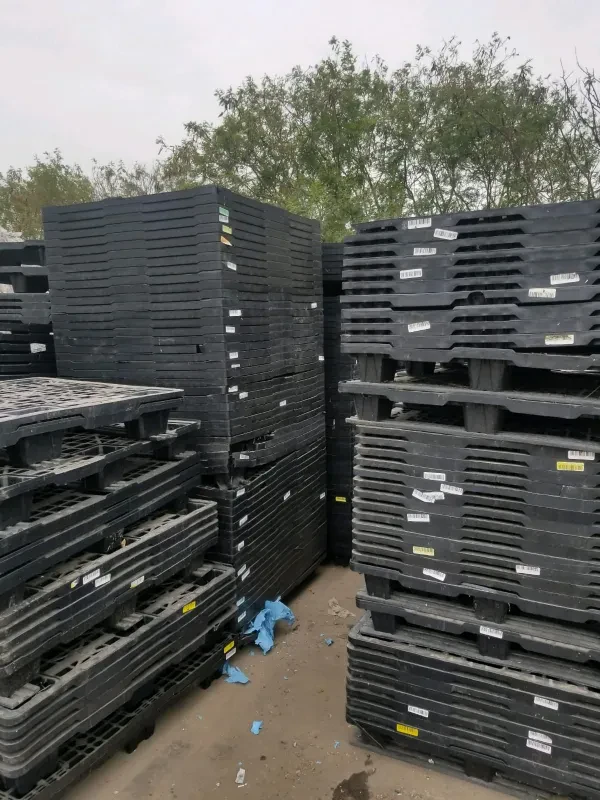 Brownsville Scrap Paper Inc - photo 4