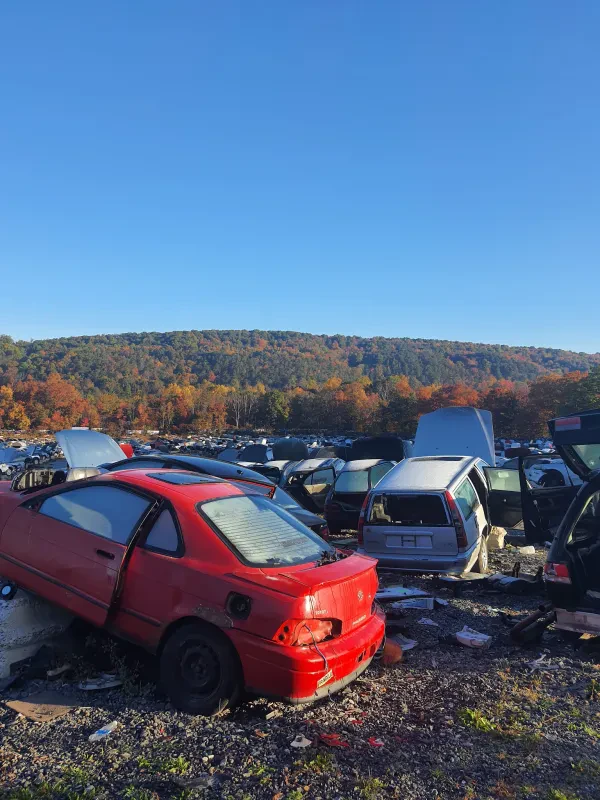 EZ Pull & Save Auto Parts - photo 3