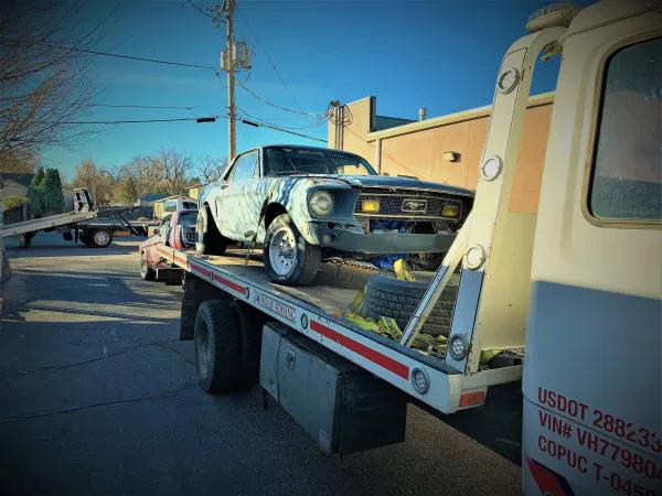 Blackcatbob Towing & Recovery LLC - photo 3
