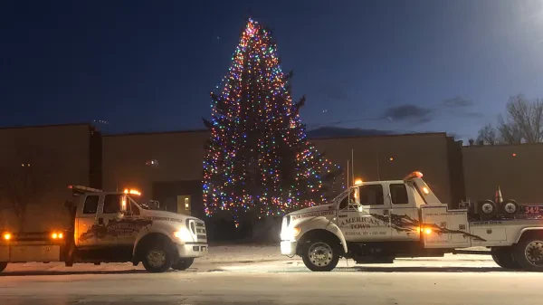 American TOWS - photo 3