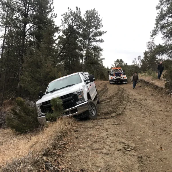 American TOWS - photo 4