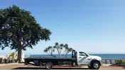 Ayala's Towing
